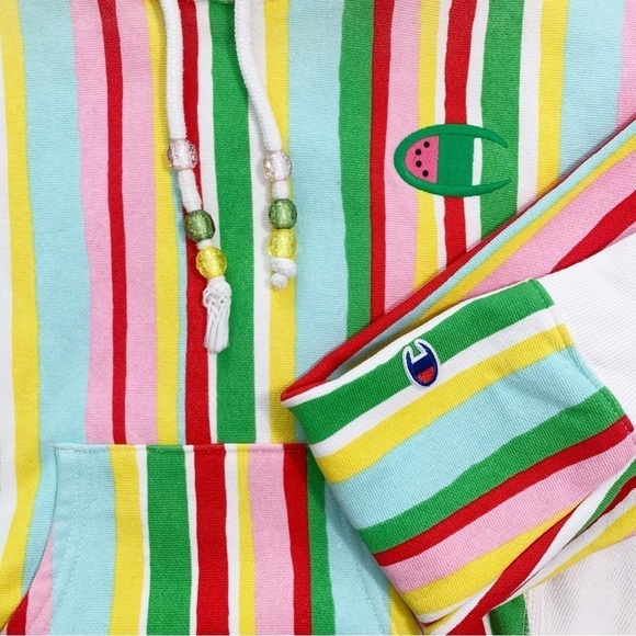 Susan Alexandra x Champion UO Exclusive Striped Watermelon Hoodie Sweater sz XS - Picture 4 of 9